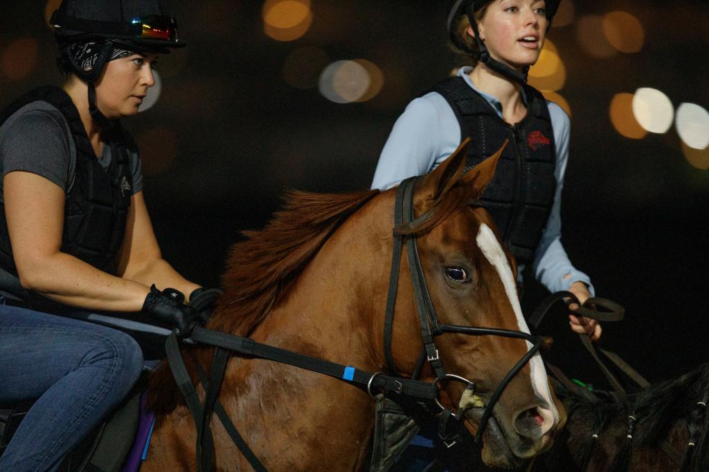 Morning Breeders’ Cup preparations for Dakota Gold under assistant trainer Carol Fisher, with Mary Ellet ponying.  (Eclipse Sportswire)